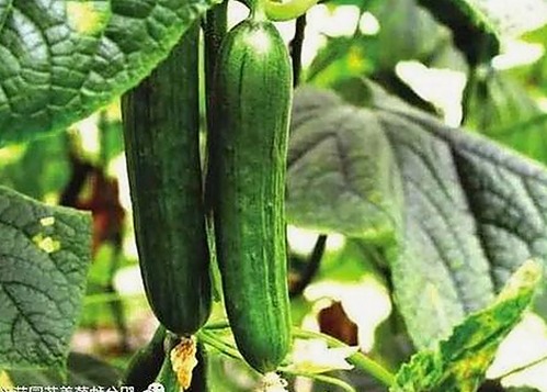 揭秘娱乐圈背后的那些真相：明星生活大揭秘